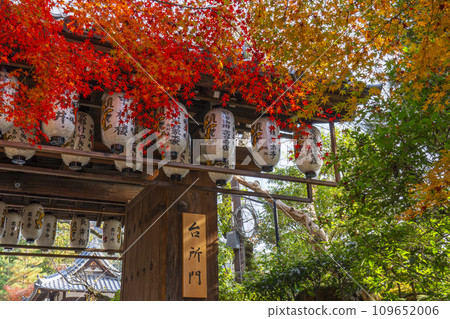 秋天的京都,高台寺,秋葉覆蓋的廚房門(大正門) 秋天的京都,高台寺,秋葉覆蓋的廚房門(大正門) 109652006
