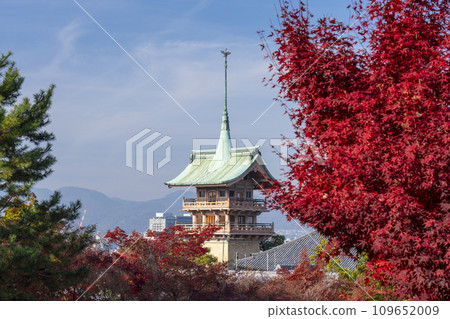 秋天的京都：從高台寺看到的紅葉和只園閣 109652009
