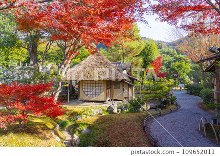 秋天的京都、高台寺、紅葉環繞的茶室“伊環庵” 109652011