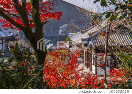 Kyoto in autumn, Kodaiji Temple, Kaizando temple covered in autumn leaves Kyoto in autumn, Kodaiji Temple, Kaizando temple covered in autumn leaves 109652019
