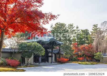 秋天的京都,高台寺,秋葉覆蓋的哈辛花園,Chokushimon 門 秋天的京都,高台寺,秋葉覆蓋的哈辛花園,Chokushimon 門 109652024