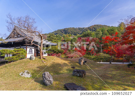 秋天的京都,高台寺,開山堂前的花園,秋葉覆蓋 秋天的京都,高台寺,開山堂前的花園,秋葉覆蓋 109652027