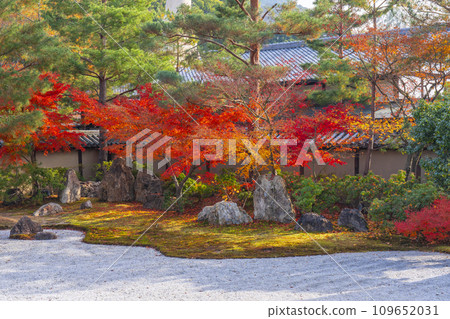 Kyoto in autumn, Kodaiji temple, Hashin garden covered in autumn leaves 109652031