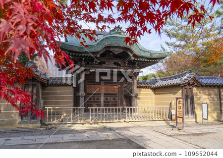 Kyoto in autumn, Kodaiji Temple, Imperial Envoy Gate covered in autumn leaves 109652044