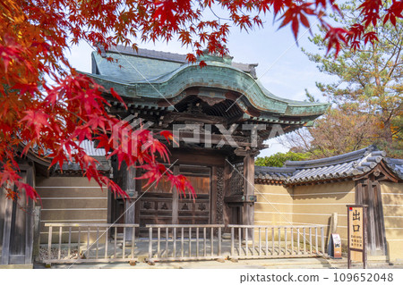 Kyoto in autumn, Kodaiji Temple, Imperial Envoy Gate covered in autumn leaves Kyoto in autumn, Kodaiji Temple, Imperial Envoy Gate covered in autumn leaves 109652048