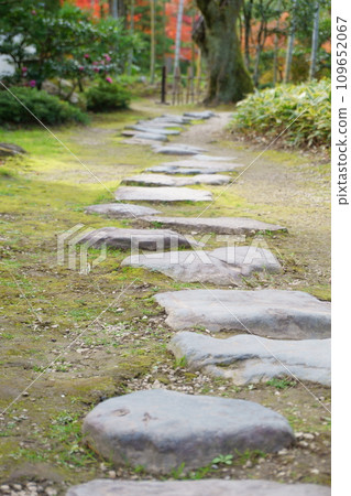 日本庭園中的墊腳石,秋葉 6 日本庭園中的墊腳石,秋葉 6 109652067