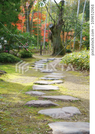 Stepping stones in a Japanese garden with autumn leaves view 5 Stepping stones in a Japanese garden with autumn leaves view 5 109652068