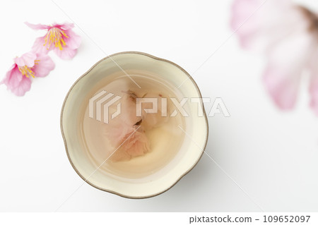 櫻花茶 櫻花茶 109652097