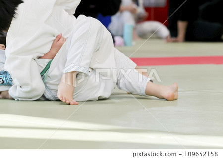 Jiu jitsu 109652158