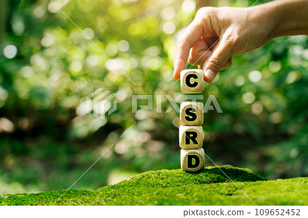 Corporate Sustainability Reporting Directive (CSRD) Concept. The European Union and financial reporting standards regarding sustainability disclosures. 109652452