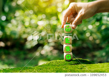 ESG concept of environmental, social and governance. Sustainable corporation development. Recommends taking environmental issues, social issues and corporate governance issues into account. 109652453