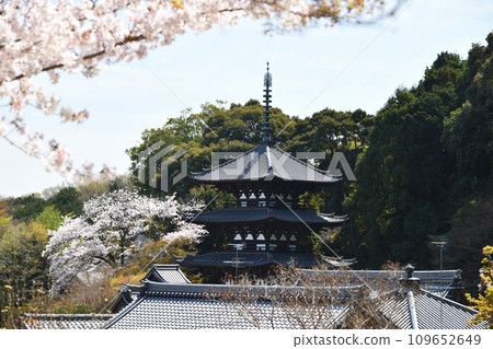 對馬寺（西塔）[奈良縣葛城市] 109652649