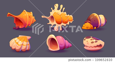 Set of seashells isolated on background 109652810