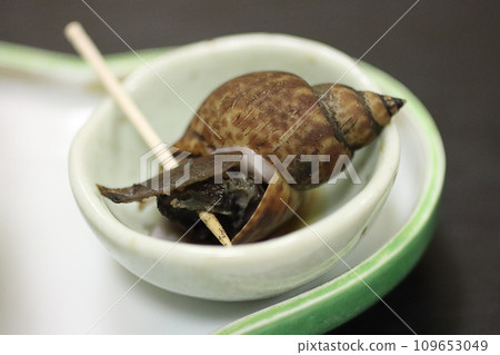 開胃菜,貝類,突出 開胃菜,貝類,突出 109653049