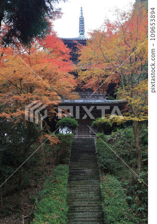紅葉名勝：「四國二十聖地第十寺西山廣隆寺」 三層寶塔（從正殿平台仰視） 109653894