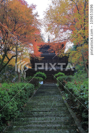 Three-storied pagoda at Nishiyama Koryu-ji Temple, the 10th temple of Shikoku's 20 sacred sites, famous for its autumn leaves (looking up from halfway up the stone steps) 109653896