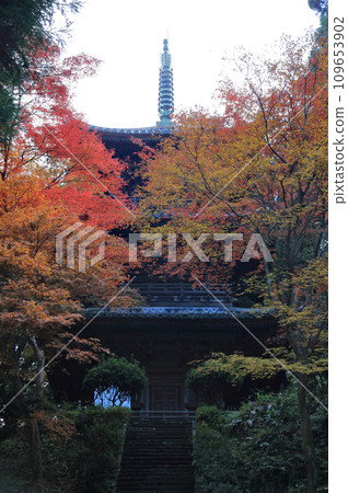 紅葉名勝：「四國二十聖地第十寺西山廣隆寺」 三層寶塔（從正殿平台仰視） 109653902