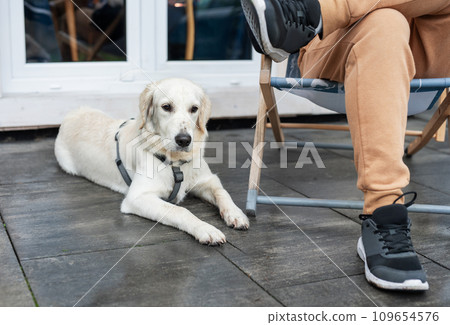 Young man sitting with dog on terrace. Young man sitting with dog on terrace. 109654576
