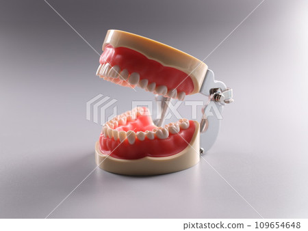 Tooth model, focus on teeth, teeth orthodontic dental model or human jaw Tooth model, focus on teeth, teeth orthodontic dental model or human jaw 109654648