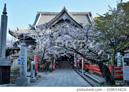 Kimiidera (main hall) [Wakayama City, Wakayama Prefecture] 109654829