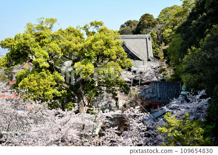 Kimiidera (main hall) [Wakayama City, Wakayama Prefecture] 109654830