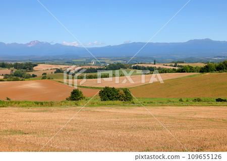 Kamifurano-machi, Sorachi-gun, Hokkaido - A view of farmland, blue skies, and the Tokachidake mountain range spread across the hills 109655126
