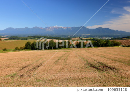 Kamifurano-machi, Sorachi-gun, Hokkaido - A view of farmland, blue skies, and the Tokachidake mountain range spread across the hills 109655128
