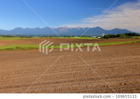 Kamifurano-machi, Sorachi-gun, Hokkaido - A view of farmland, blue skies, and the Tokachidake mountain range spread across the hills 109655133