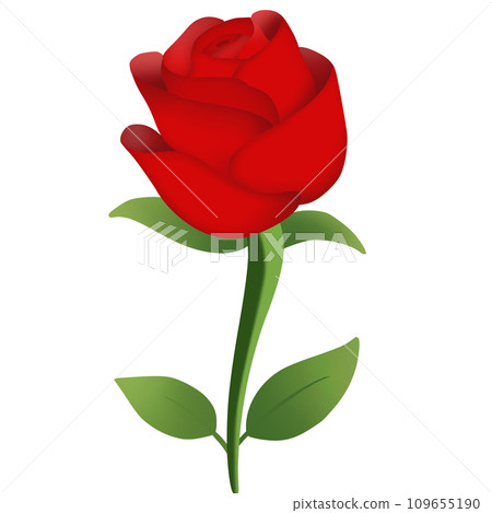 Valentine's Day roses Valentine's Day roses 109655190