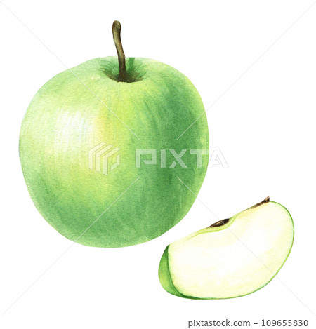 Green whole apple and slice. Hand drawn botanical watercolor illustration isolated on white background. For clip art, cards, menu 109655830