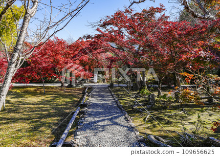 京都市山科嘉壽寺境內的紅葉 京都市山科嘉壽寺境內的紅葉 109656625