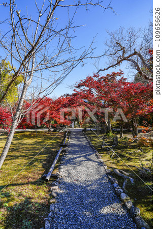 京都市山科嘉壽寺境內的紅葉 109656626