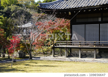 Yamashina, Kyoto City, Kajuji Temple, Meishoden (Shinden) 109656647