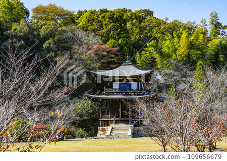 京都市山科區、嘉壽寺觀音堂 京都市山科區、嘉壽寺觀音堂 109656679