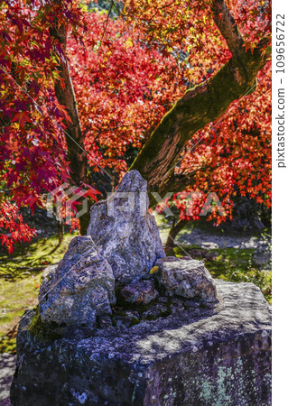 京都市 山科嘉壽寺 Sazareishi 109656722