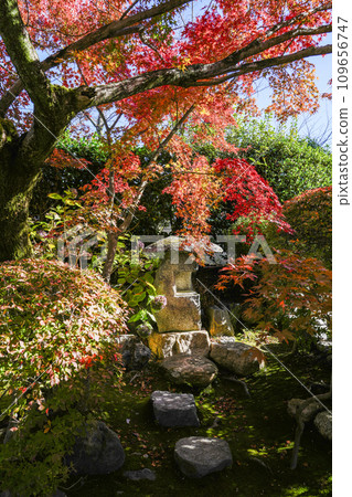 京都市山科嘉壽寺境內的紅葉 京都市山科嘉壽寺境內的紅葉 109656747