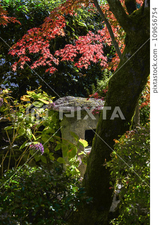 京都市山科嘉壽寺境內的紅葉 109656754