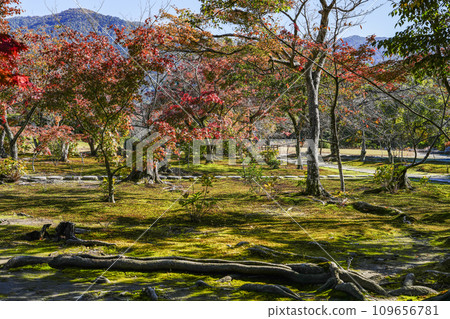 京都市山科嘉壽寺境內的紅葉 京都市山科嘉壽寺境內的紅葉 109656781