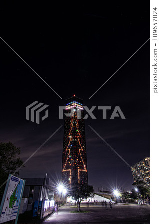 Huge Christmas tree 109657024
