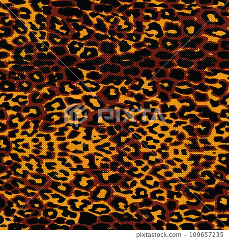 Leopard skin pattern 109657235