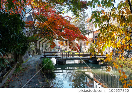 Hachimanbori in late autumn Hachimanbori in late autumn 109657860