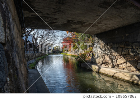 Hachimanbori in late autumn Hachimanbori in late autumn 109657862