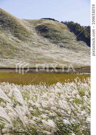 Soni Plateau, a famous spot in Nara with beautiful pampas grass all over_02 109658059