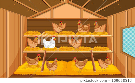 Inside of a Chicken House: Hay and Straw for Egg Laying 109658513