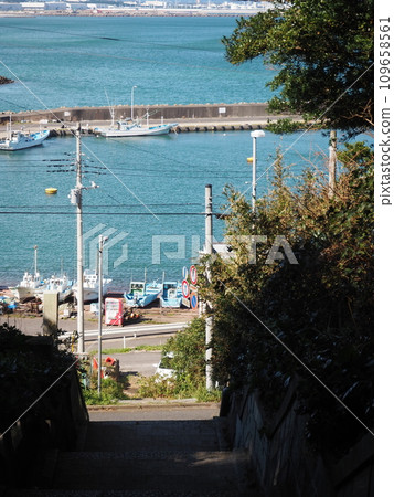 The port seen from the hill 109658561