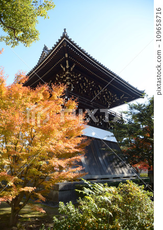Shokokuji Temple in autumn, Koonro and autumn leaves, Kamigyo Ward, Kyoto City Shokokuji Temple in autumn, Koonro and autumn leaves, Kamigyo Ward, Kyoto City 109658716