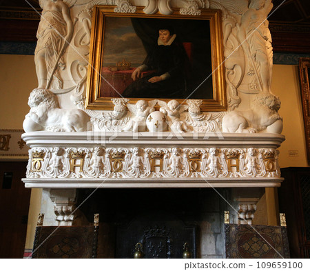 Chateau de Chenonceau, Loire valley, France 109659100