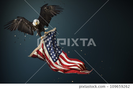 North American Bald Eagle with American flag 109659262