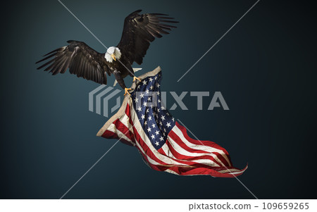 North American Bald Eagle with American flag 109659265