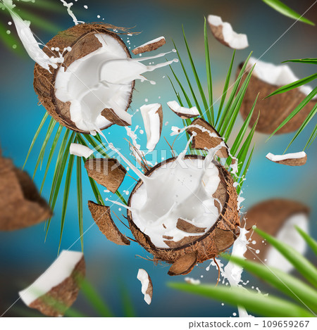 Flying coconuts with pieces on blue gradient background 109659267